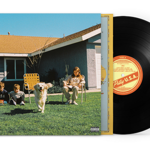 USA Vinyl LP